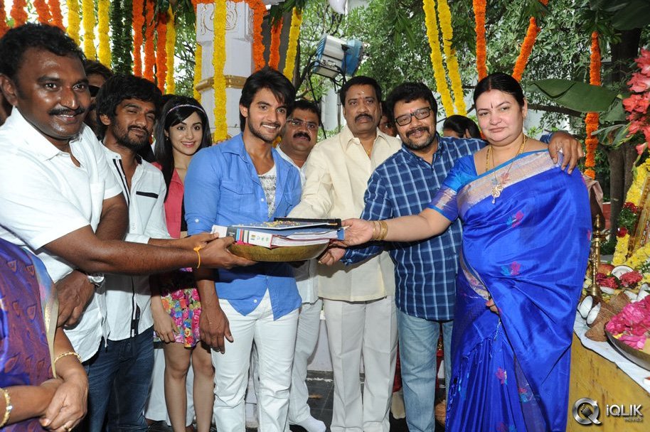 Garam-Movie-Opening-Photos